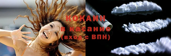 винт Гусев
