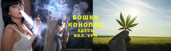 винт Гусев