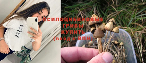 меф Горняк