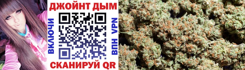 Шишки марихуана конопля  Данилов 